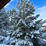 Aux Trois Marmottes - Au Pied Des Pistes شاليه Formiguères